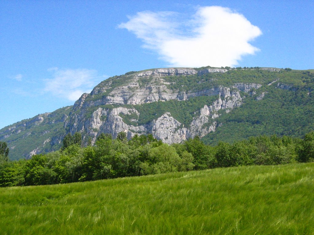 Le salève depuis les pommeraies by woodkind