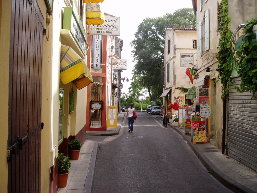 Arles, Rhône (France) - Mare III in viaggio verso Nord by Carla Cianfriglia