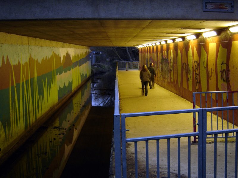 Witney- Ducklington Underpass by Andrew Head