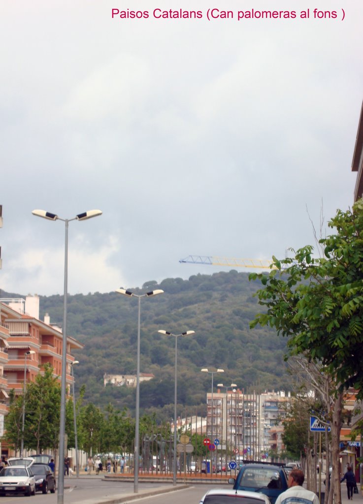 Av.Paisos Catalans by tarp