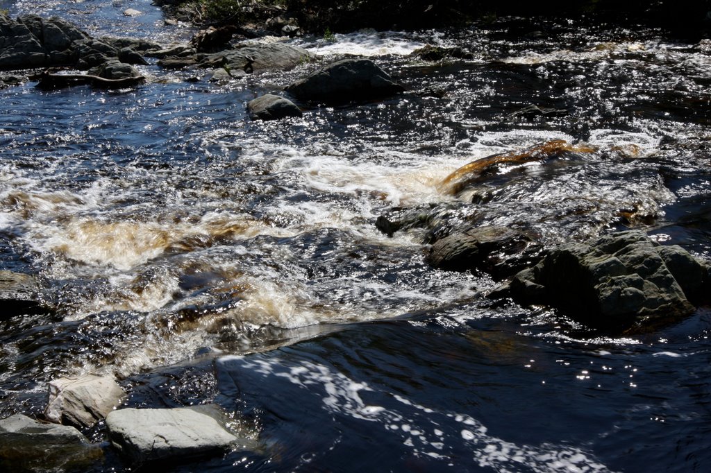 Sheet Harbour, NS B0J, Canada by mmaandag