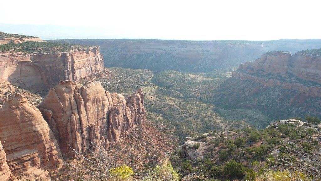 View from Artists Point in Colorado National Monument by usawest