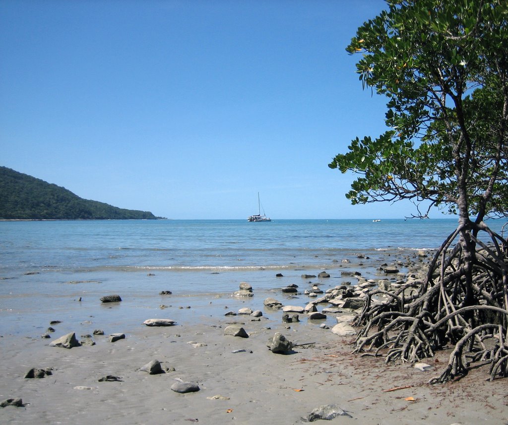 Cape Tribulation, Queensland, Australia by woodengirl69