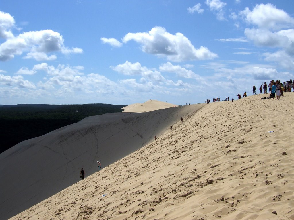 Dune de Pyla by Dean Weston