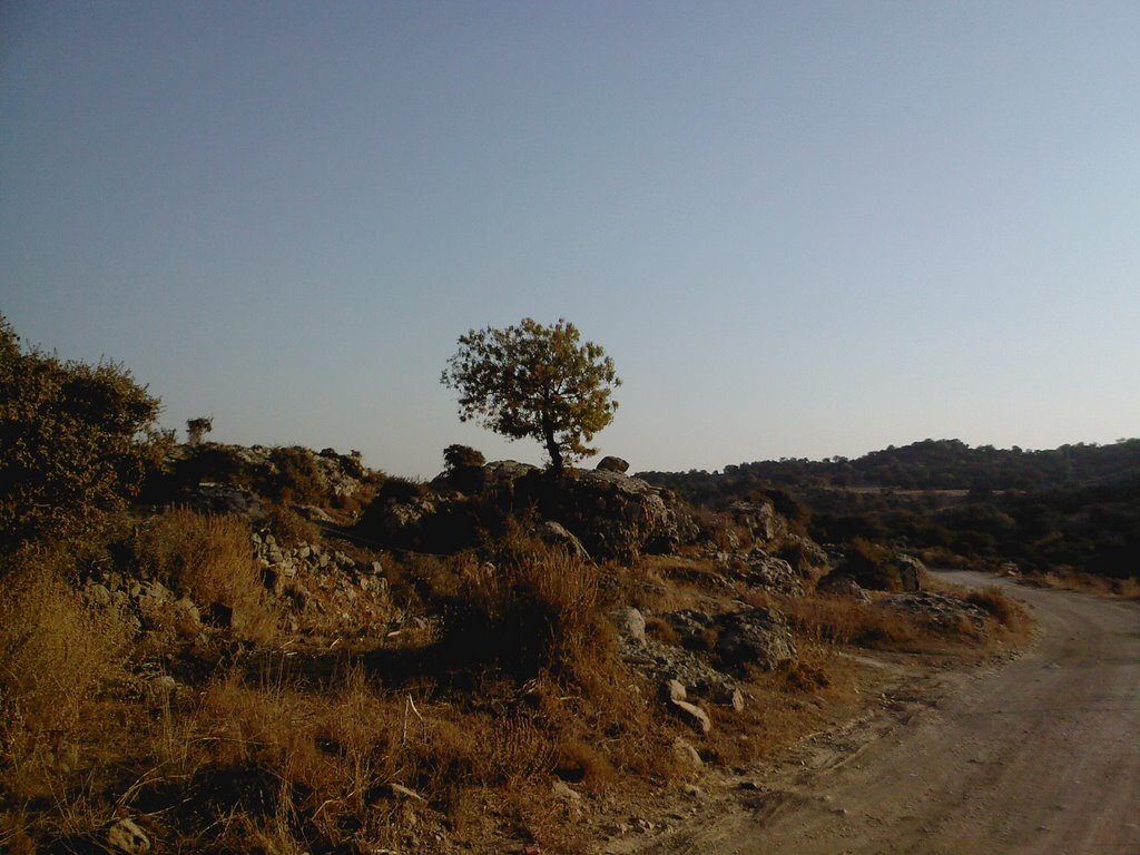 Karakaya, 48970 Gümüşlük/Bodrum/Muğla, Turkey by sukhleen