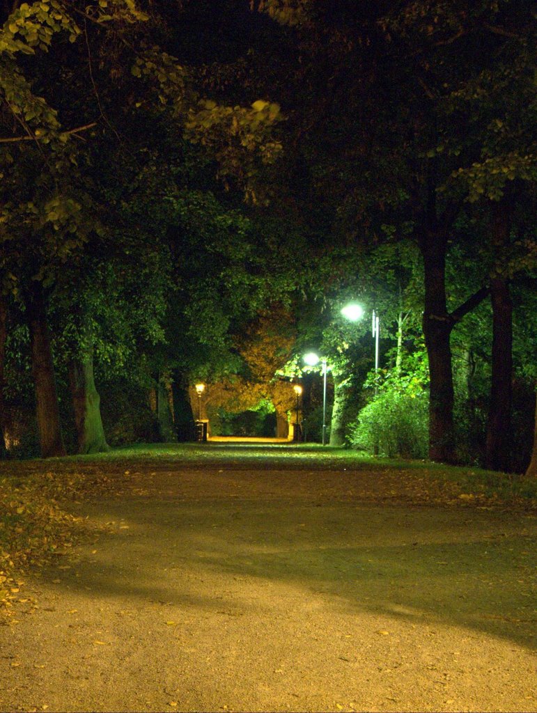 Hoher Graben bei Nacht by karski