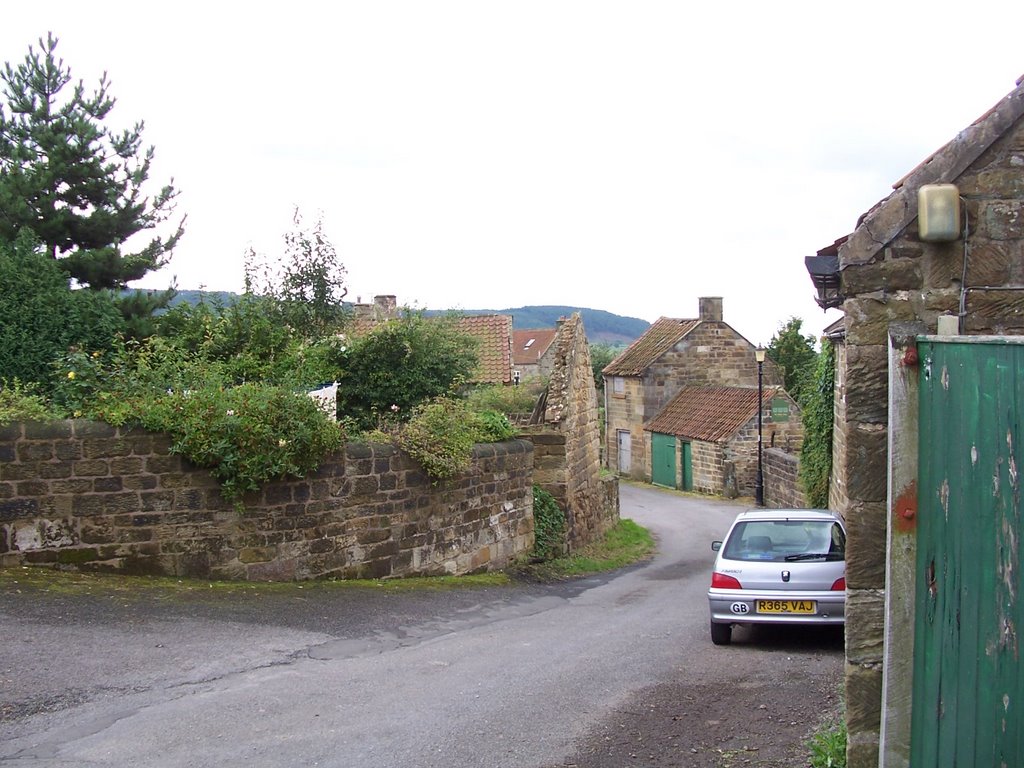 A picturesque view of Back Lane by Rod Holland