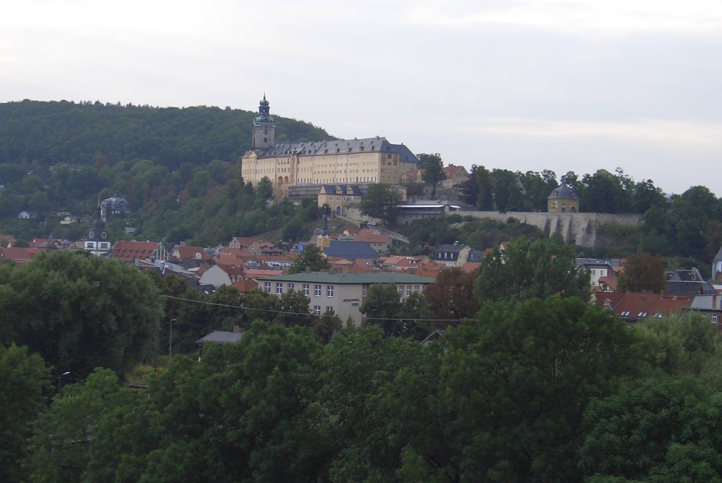 Ausblick (Riesenrad zum *Vogelschießen*) zur Heidecksburg - Rudolstadt [310°] (i) by Herzi♥81