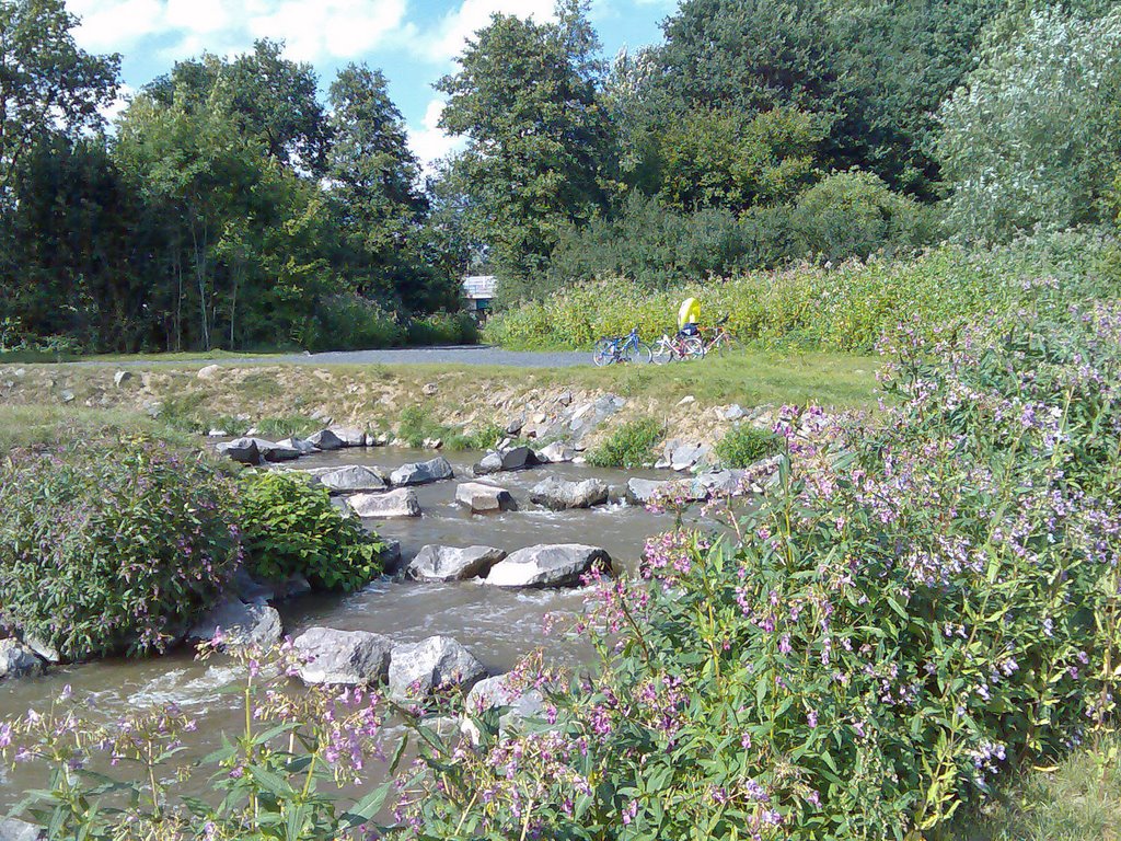 Troisdorf, Wehr an der Agger, Fischsteigeanlage by ©schw@bendude