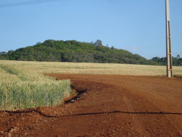 MORRO DAS GOAIBEIRAS by José Carlos Farina