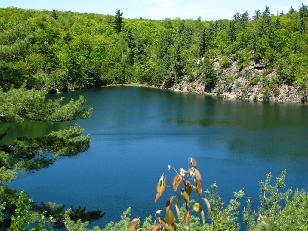 Pink lake on Gatineau park, Quebec, Canada by rod.luis