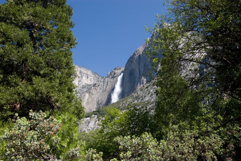 Yosemite Falls by andyp-bw