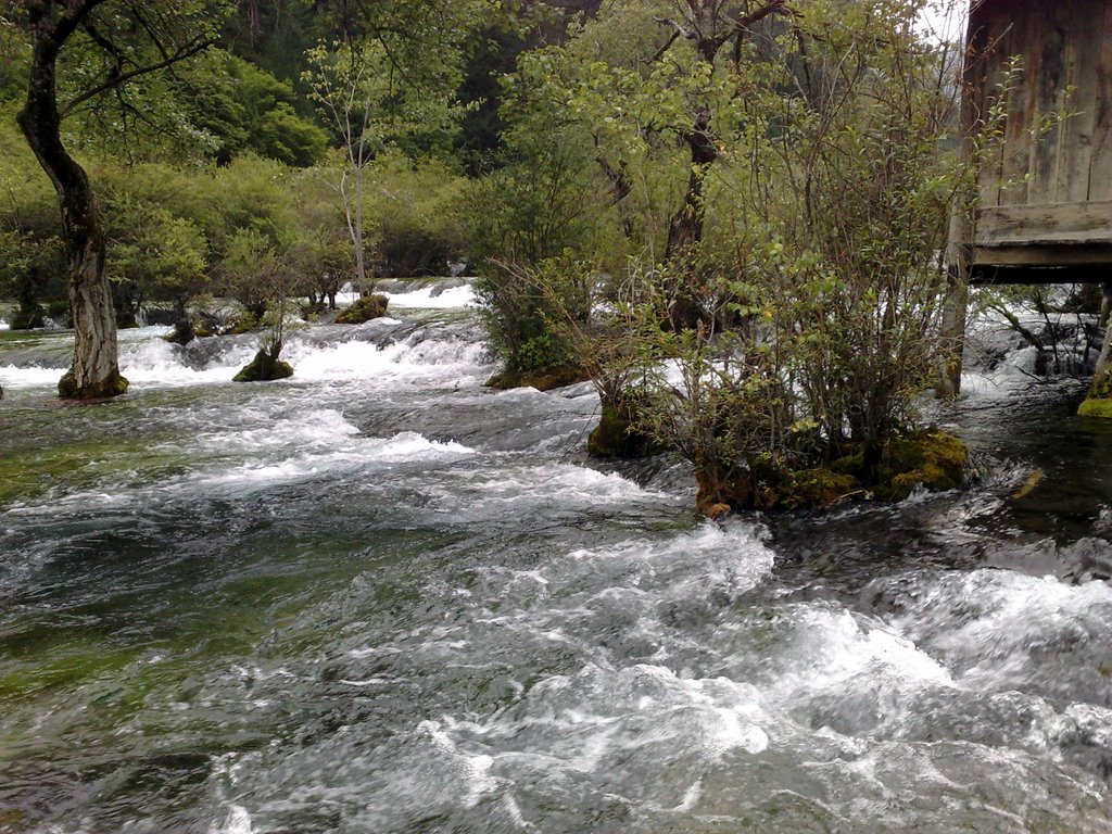 九寨沟 Jiuzhai Valley 树正沟 The Shuzheng Gully 树正磨坊 Shuzheng Mill by cvtm