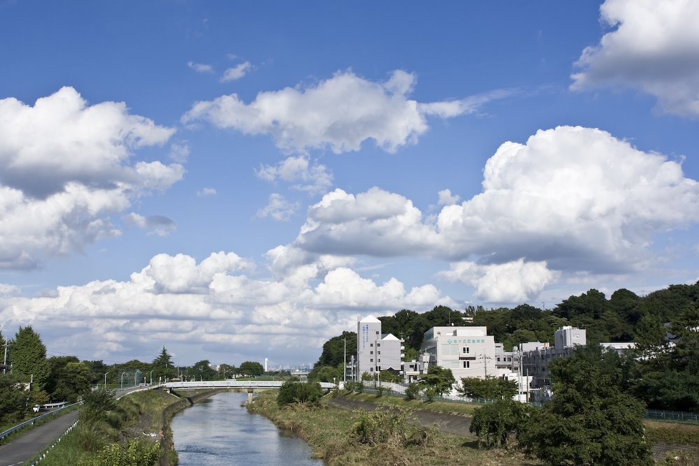 向ノ岡大橋から大栗川 by E kaz