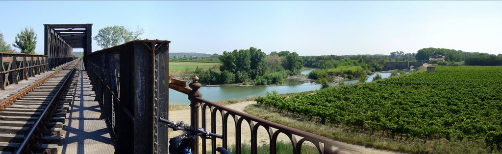 Pont chemin de fer à moussoulens by Patrice Delaye