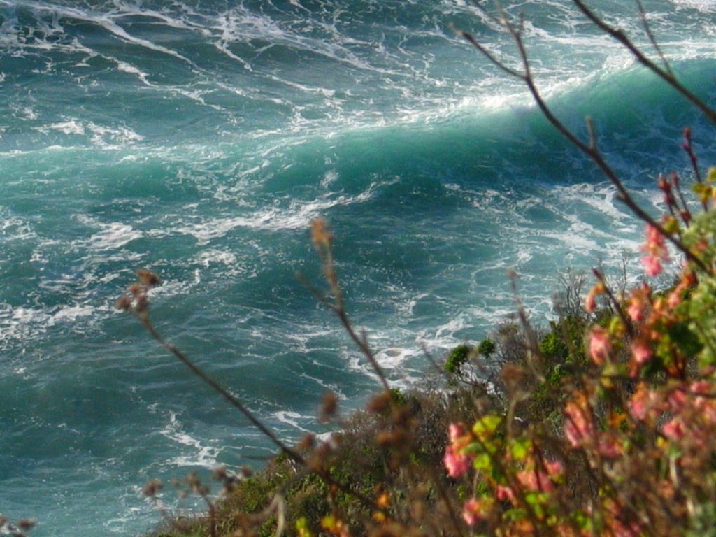 Raegged Point Big Sur AL by AxLange