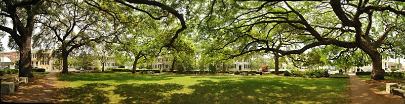 Chatham Square Pano by pcpablo