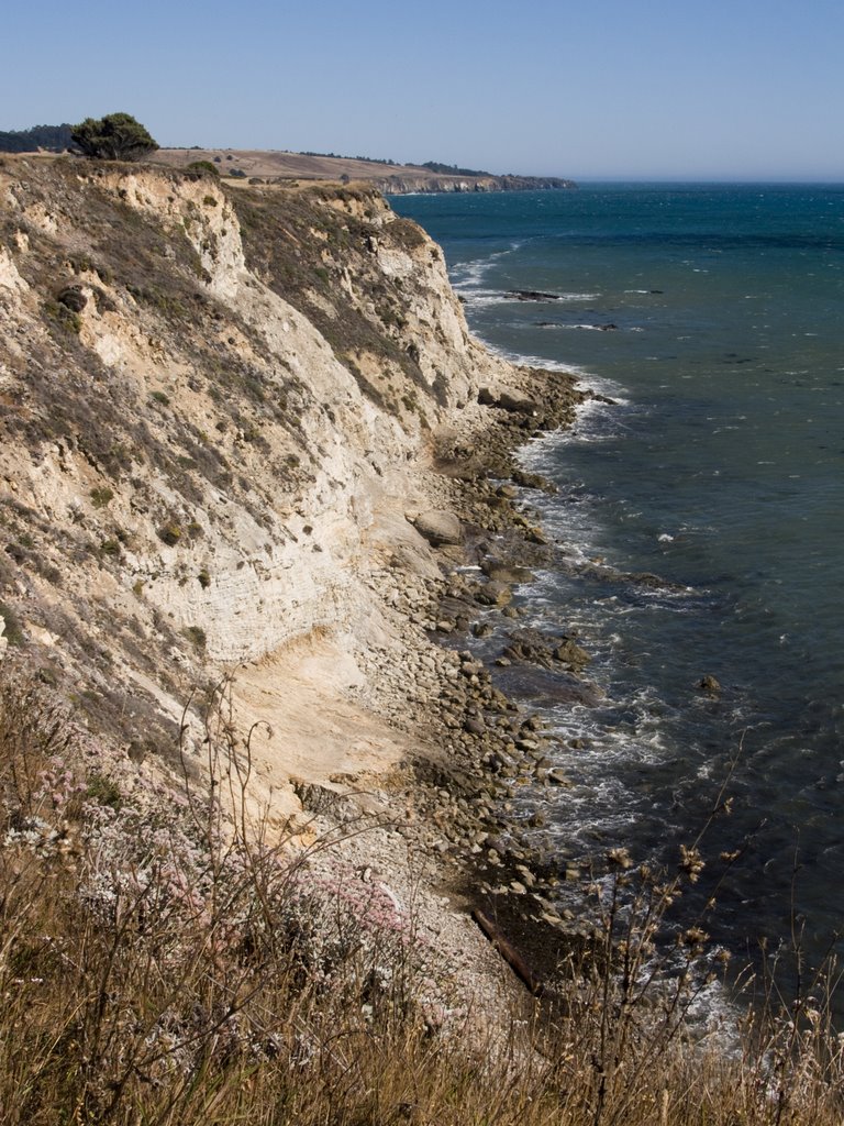 South of Moat Creek Beach by Nancy Hayes