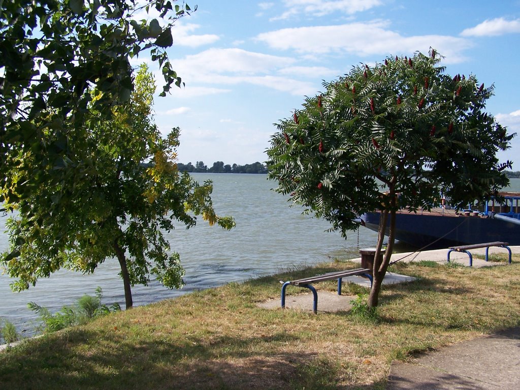 On the Banks of Danube 1, Kostolac, Serbia by Miša M.