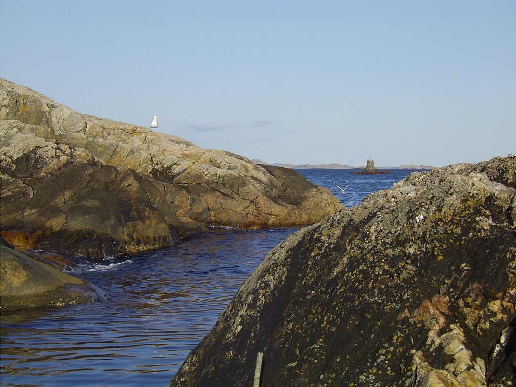 View from Lindesnes Camping by BusTaker