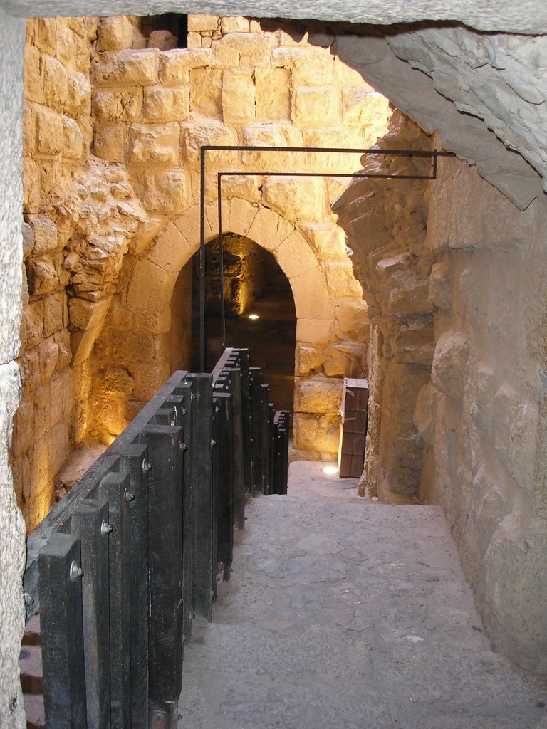 Ajloun Castle Jordan by ahsmadi