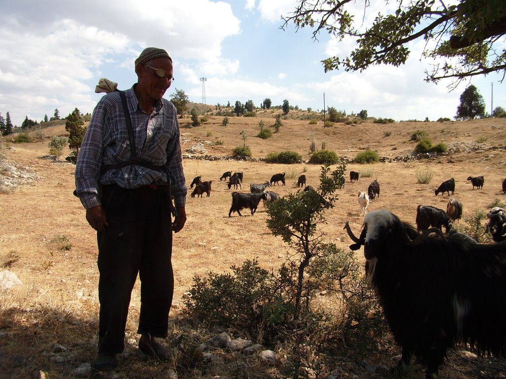 Toroslarda bir çoban by harun seker