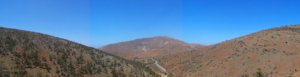 Panorama From Pine Forest by Adam-Williams81