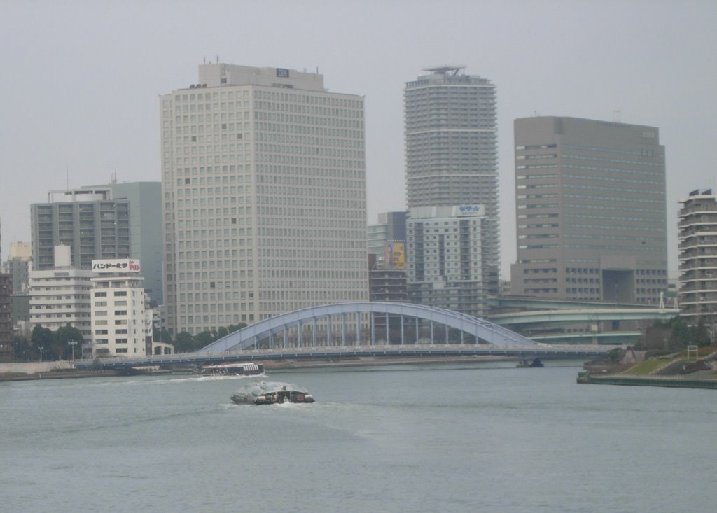 Sumida river & Eitai-bashi bridge　隅田川と永代橋 by butch24h