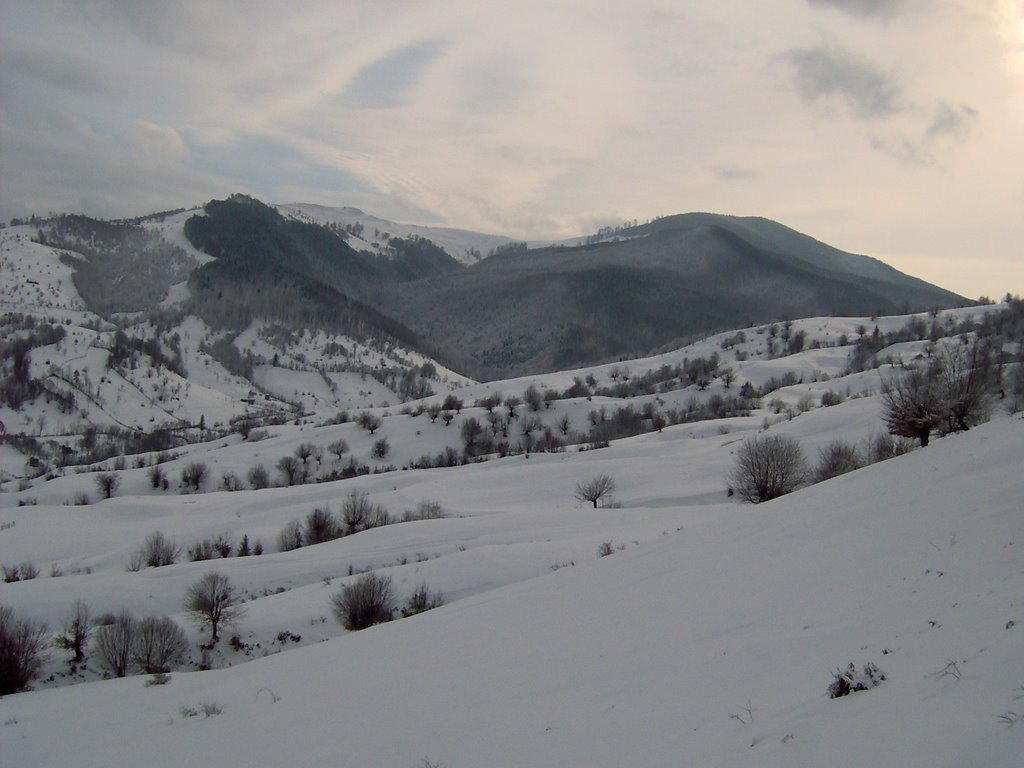 Snowy hills by Daniel Sacota