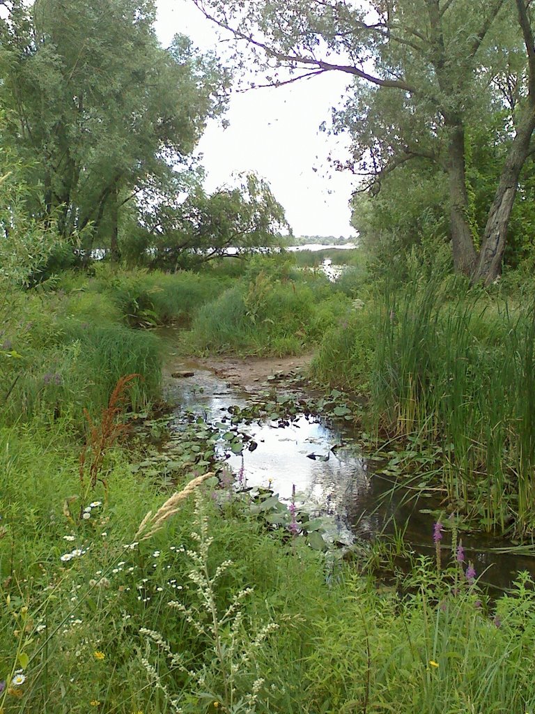 Stream just north of Kiev. by X800 GPS