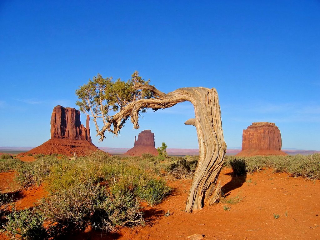 Monument Valley im Abendrot by ElkMar