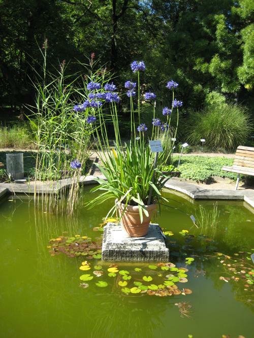 Brunnen im Arboretum by KnipsPit