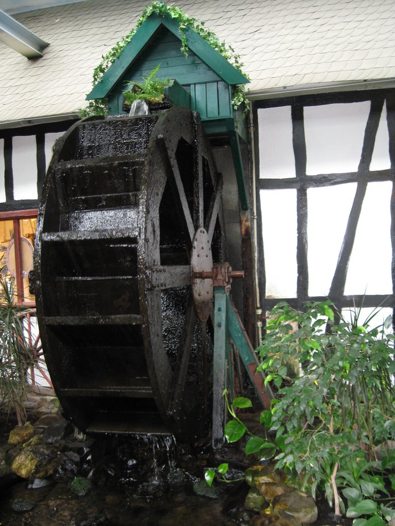 Wasserad in Monschau by ft-foto