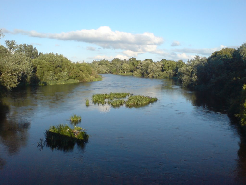 River Shannon, University of Limerick by Raul Sempere