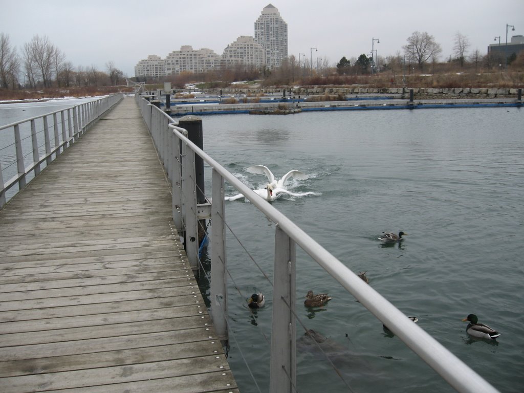 Humber Bay Park by radioactivedog