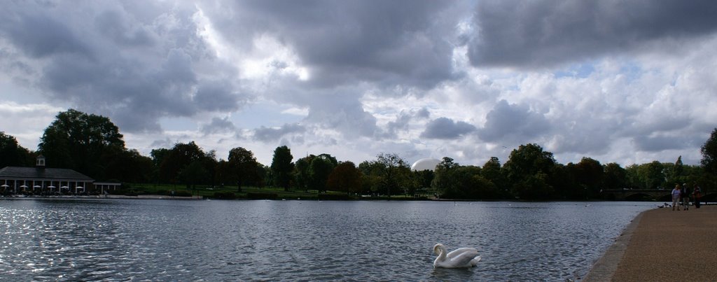 The serpentine - irréel by Véronique-A-Bernard