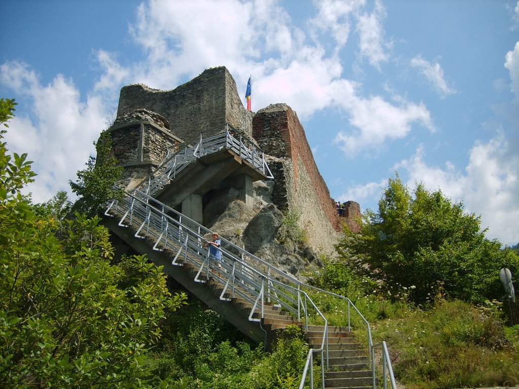 Vlad Tepes - real castle by Venca44