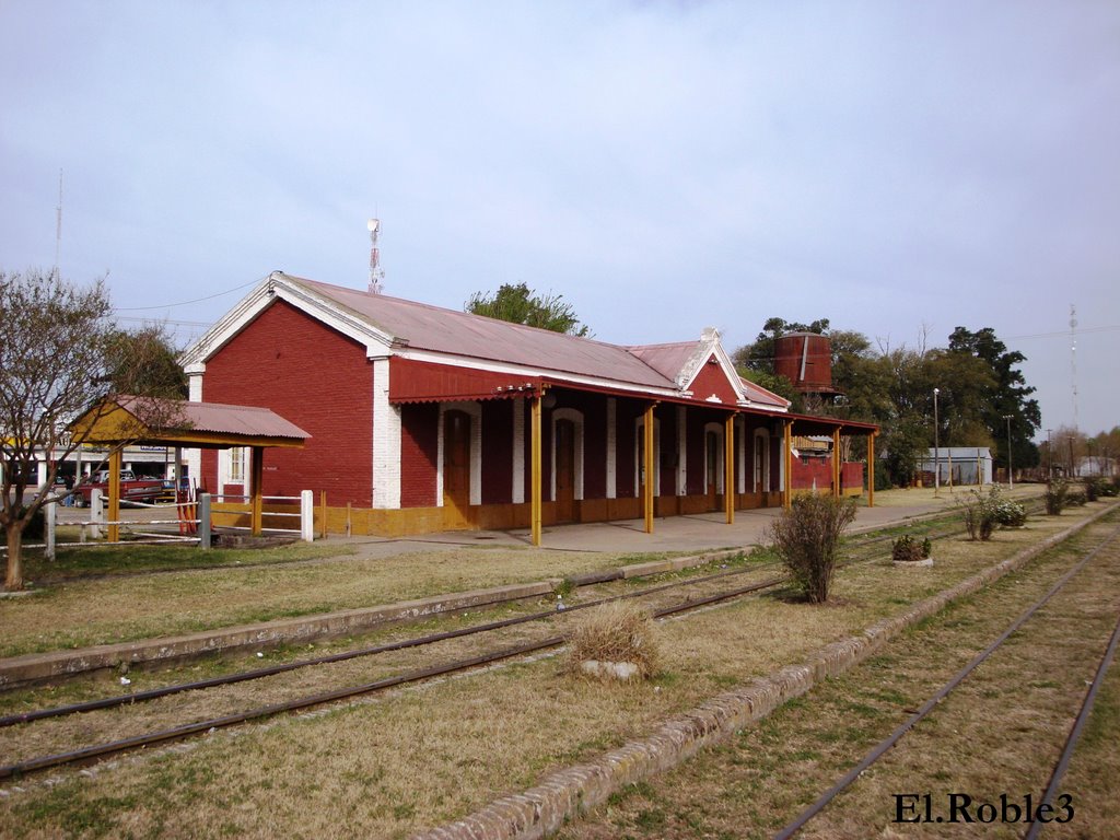 Anden en Estacion de Ferrocarril en Maciel, Santa Fe, Argentina by El.Roble3