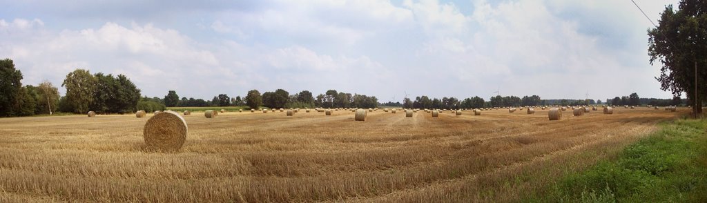 Rundballenfeld Panorama by Dr. Gonzo