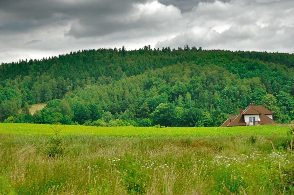 Wzgórze obok Karpacza by siefca