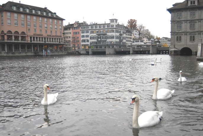 Limmat River in Zurich by FotoDOTbiz