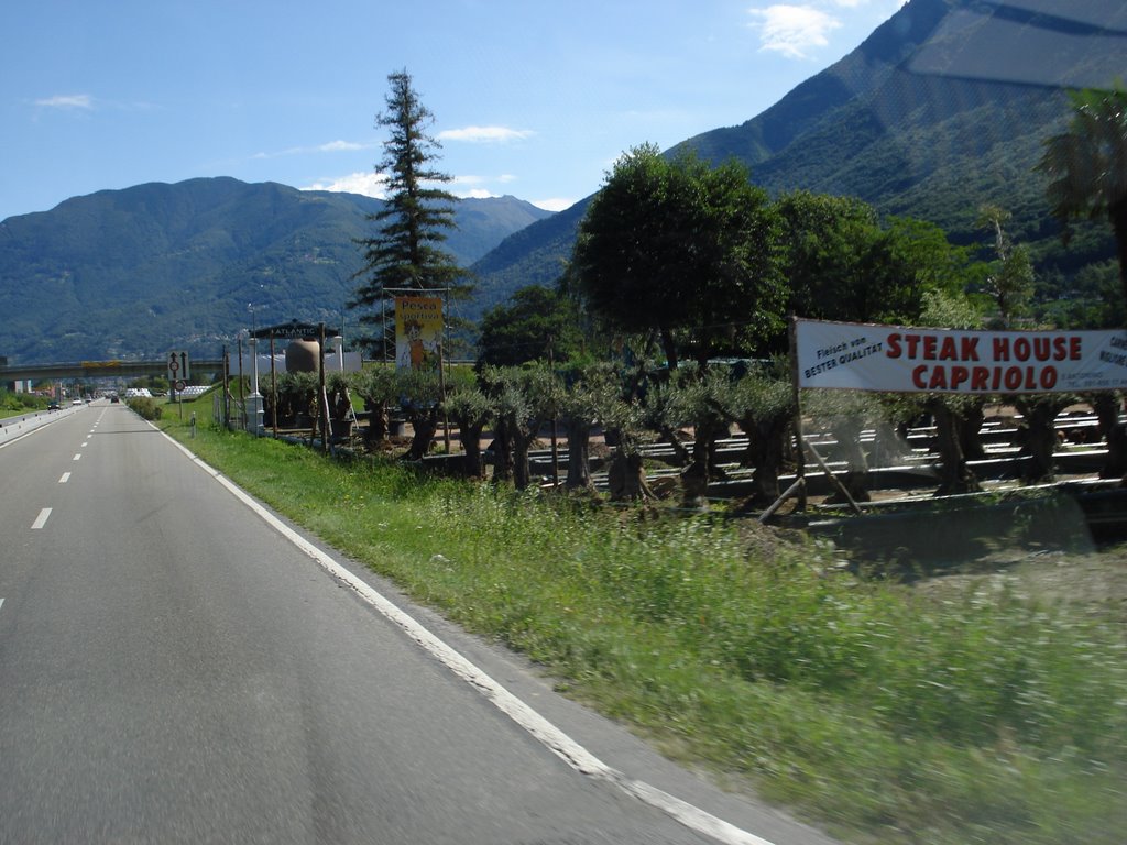 Via Cantonale Fahrtrichtung Bellinzona am 23.08.2008 by greenplanet