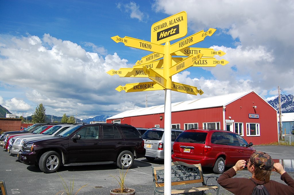 Crossroad Sign in Seward, Alaska by Fyodor Soloview