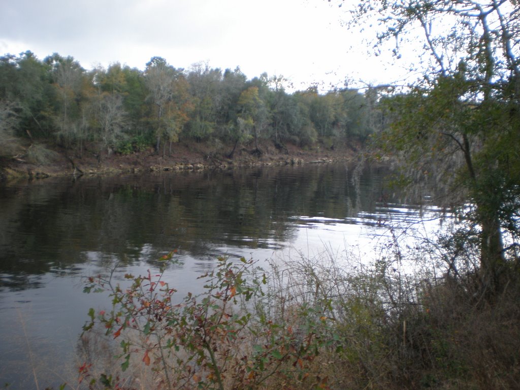 Suwannee River.Mc Alpin. by Frank A MAYEDO