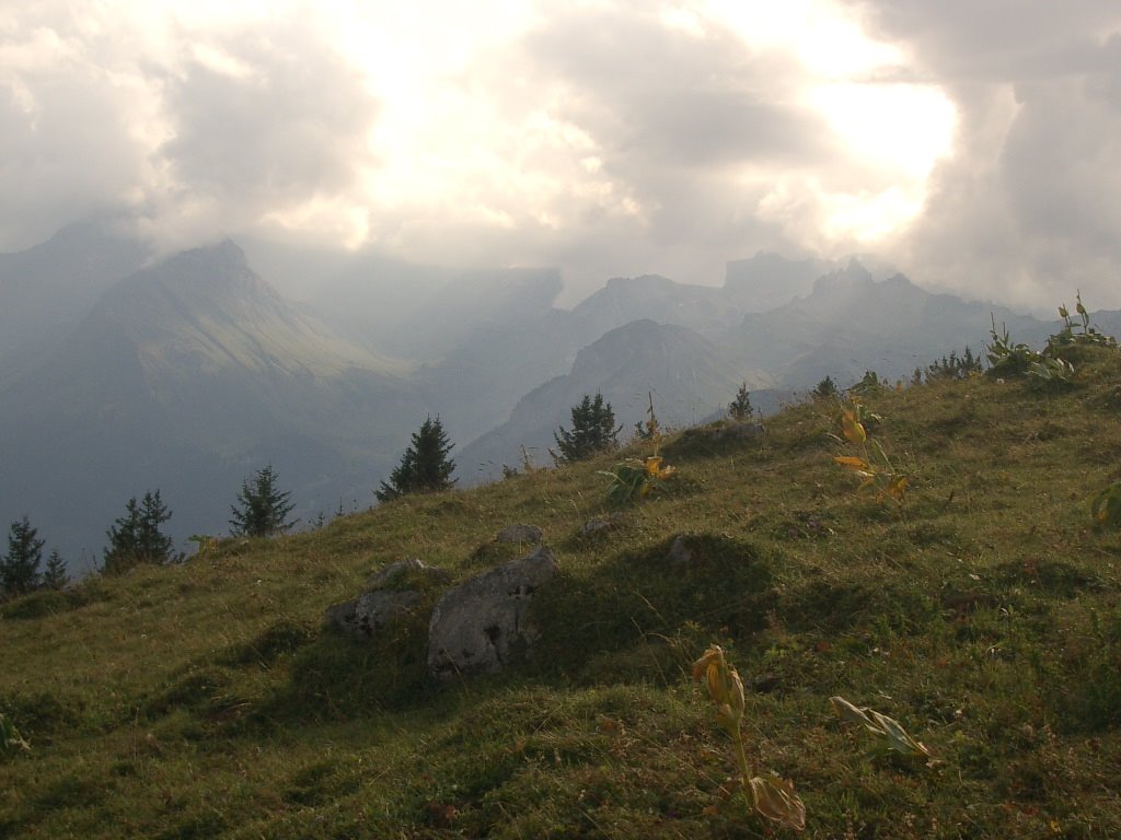 Schynige Platte by michaelR