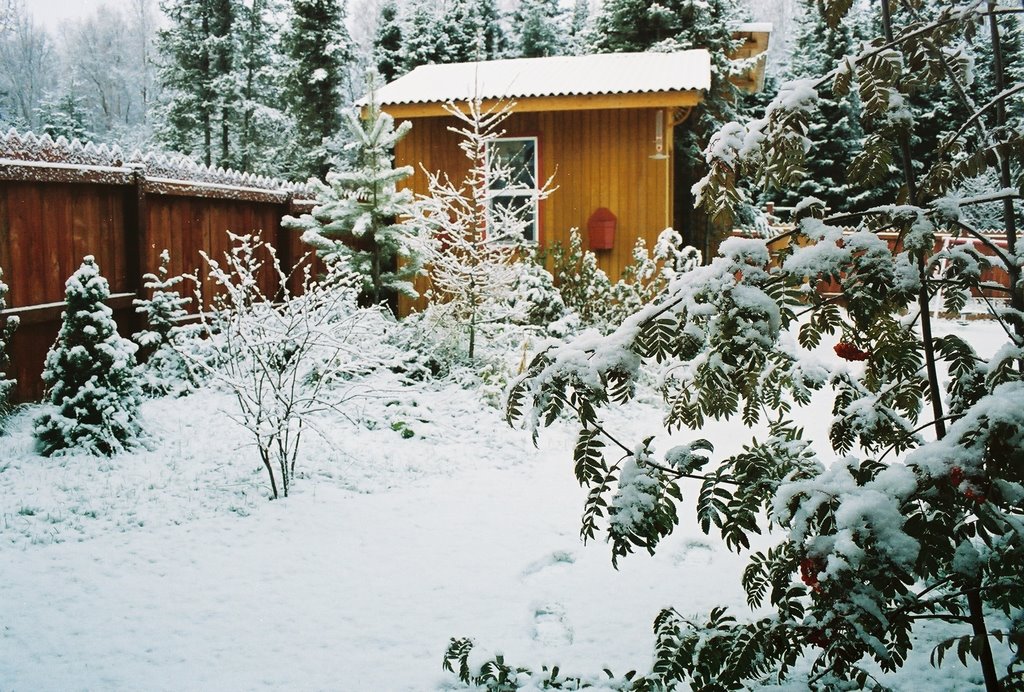 SNOW GARDEN - Anchorage, Alaska, October 31st, 2007 by Fyodor Soloview