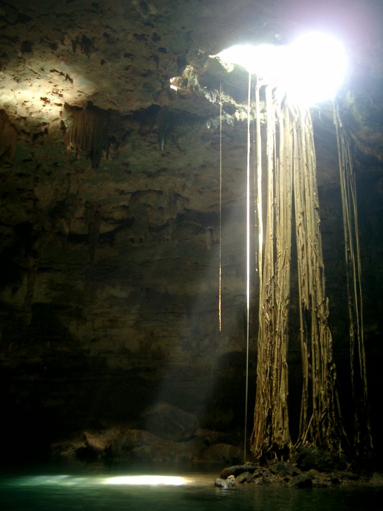 Cenote Dzitnup by Stefan Tanner