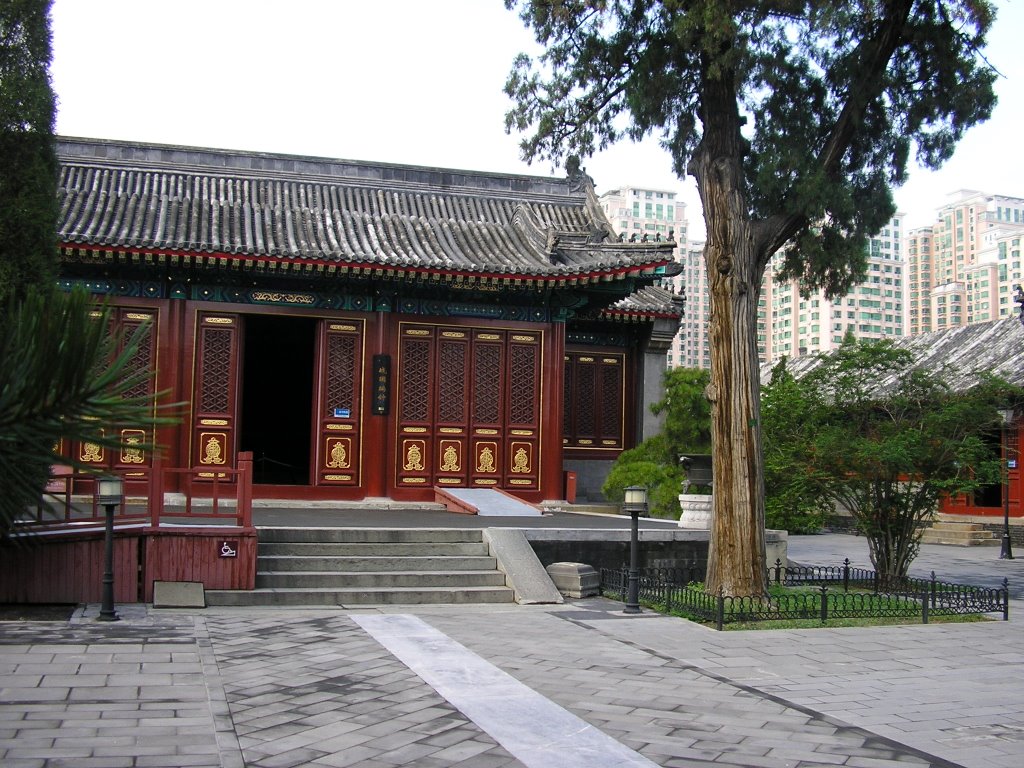 大钟寺1 - Big Bell Temple 1 by Samfu