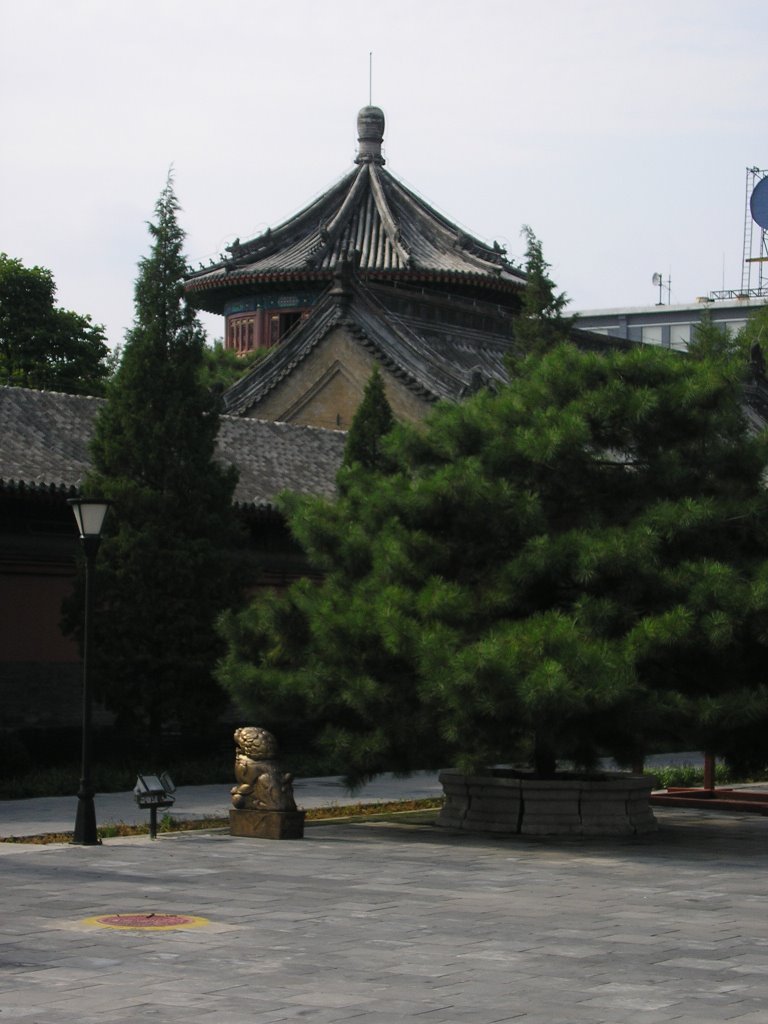 大钟寺12 - Big Bell Temple 12 by Samfu