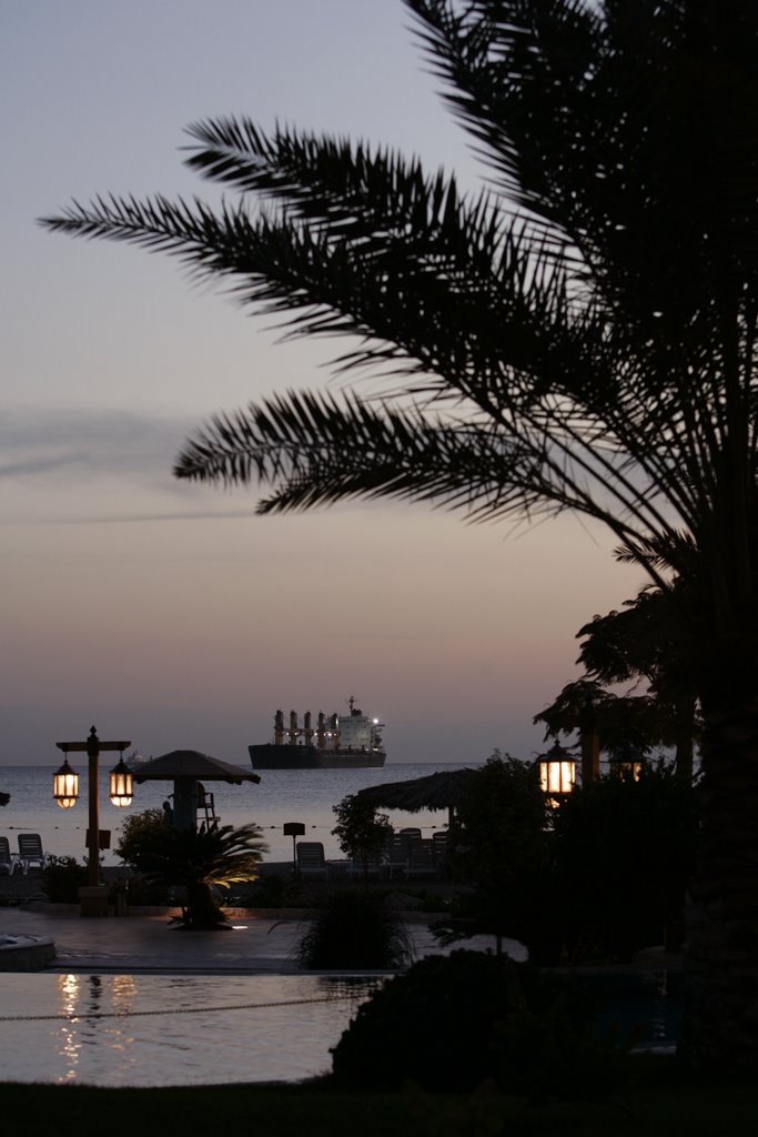 Aqaba beach, Jordan by Bistra Boshankova